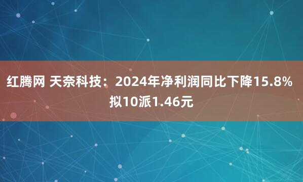 红腾网 天奈科技：2024年净利润同比下降15.8% 拟10派1.46元
