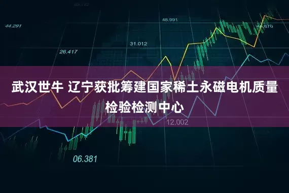 武汉世牛 辽宁获批筹建国家稀土永磁电机质量检验检测中心